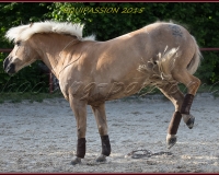 2-13JUIN 0396